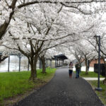 snowy april Hazel Ruby park